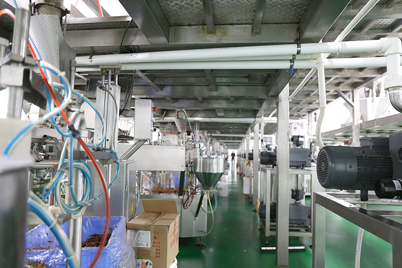 麻豆视频网站在线观看风采