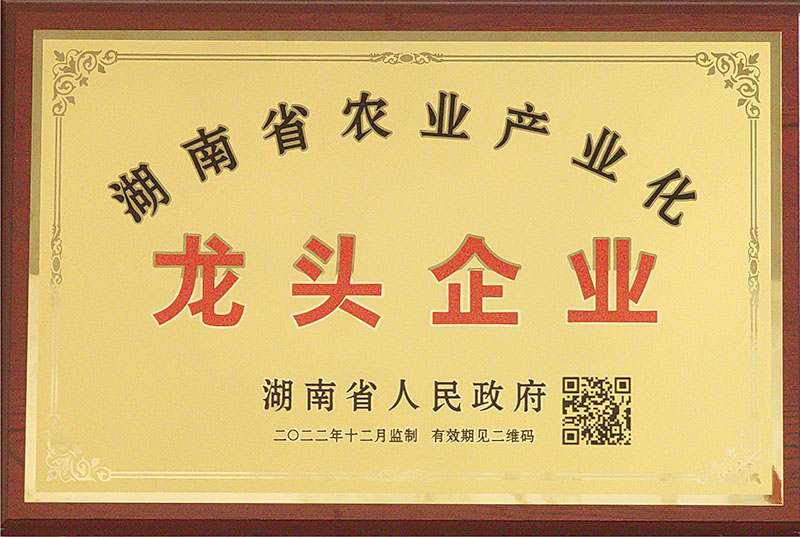湖南省农业产业化龙头麻豆视频网站在线观看